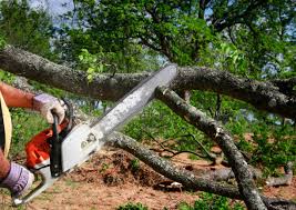 Best Seasonal Cleanup  in Kenner, LA